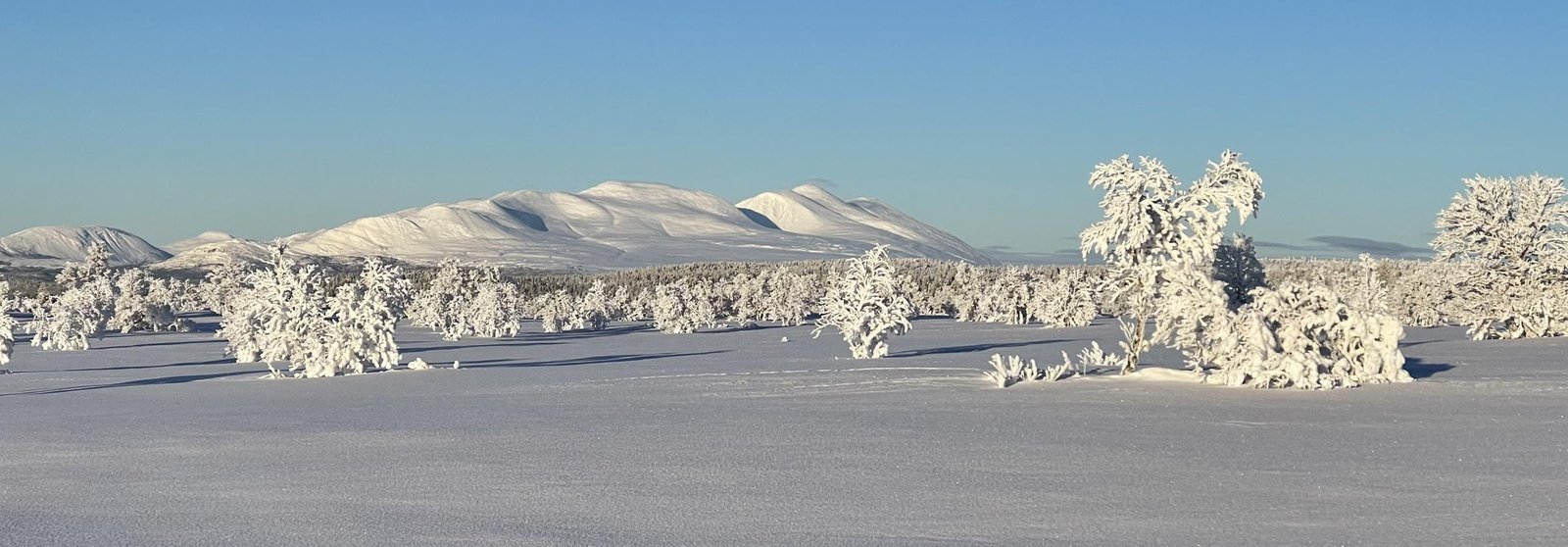 Sølen med snødekte trær og vinterlandskap i Rendalen
